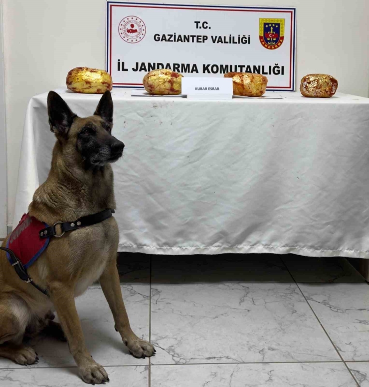 Gaziantep’te Yolcu Otobüsünde 3 Kilo Esrar Ele Geçirildi