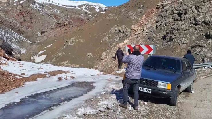 Yaban Keçileri Karayolu Kenarına Kadar İndi