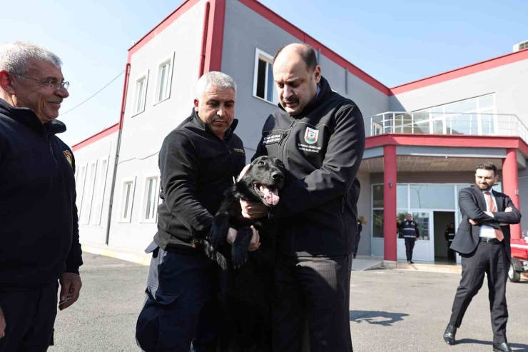 Şanlıurfa’da Acil Müdahale Timi "şuak" Kuruldu