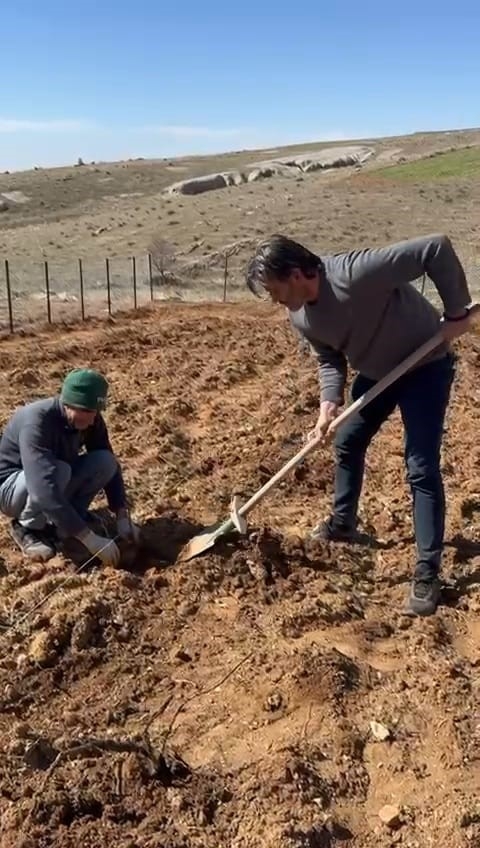 Avukatın Şehirden Köye Kaçış Hikayesi