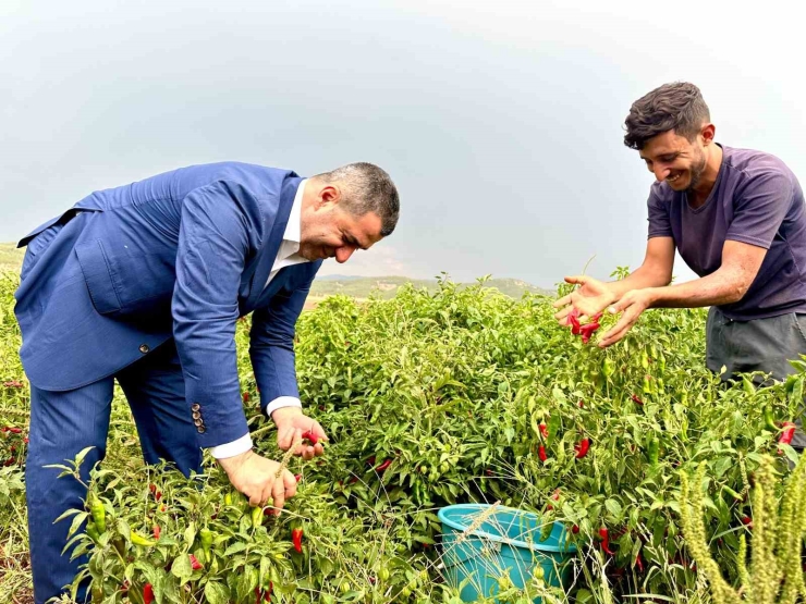 Milletvekili Bünyamin Bozgeyik"ten 1 Mayıs Mesajı