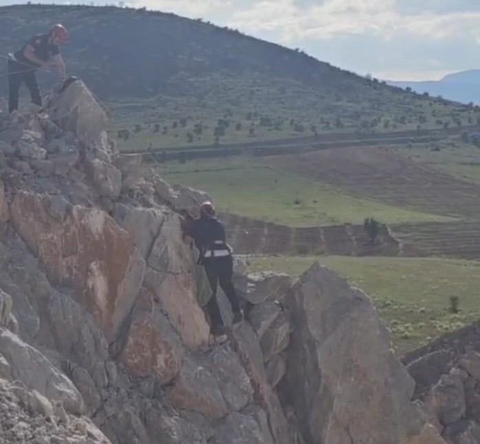 Kızıl Şahin Yavrusu Son Anda Kurtarıldı