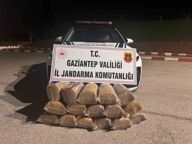 Gaziantep’te Kaçakçılık Ve Uyuşturucu Operasyonu: 21 Şahıs Tutuklandı
