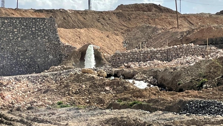 Başkan Taşkın, Çınarpark Alanında İncelemelerde Bulundu