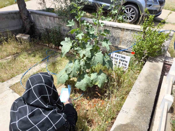 Feray Şahin, Anneler Günü’nde Mezarı Başında Anıldı