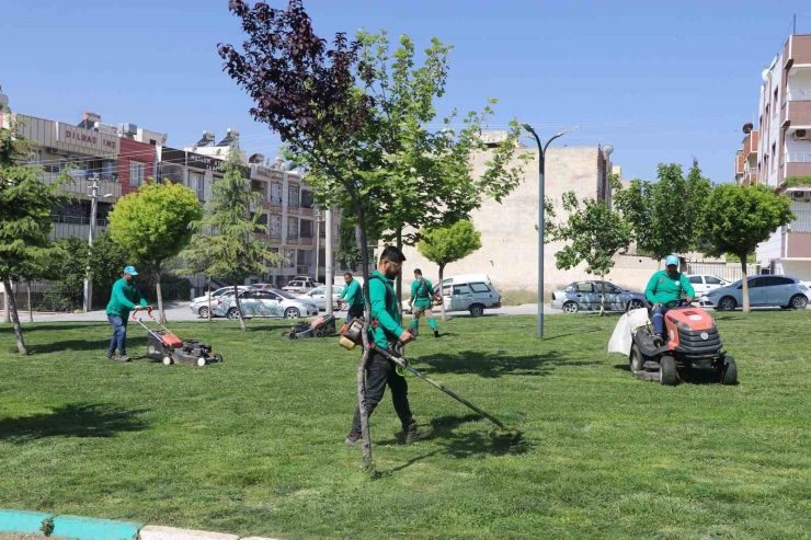 Parklar Yaz Mevsimine Hazırlanıyor