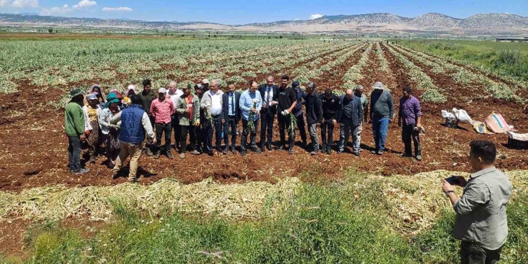 14 Mayıs Dünya Çiftçiler Günü Sarımsak Tarlasında Kutlandı
