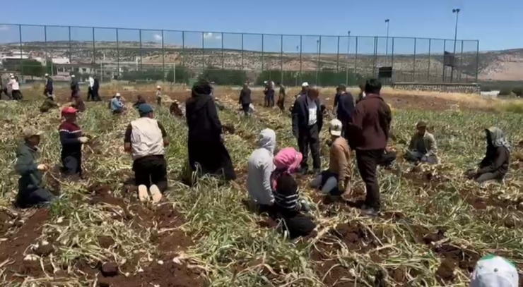 Yavuzeli’nde 14 Mayıs Dünya Çiftçiler Günü Coşkuyla Kutlandı