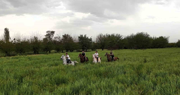 Deprem Sonrası Doğayla Buluşma: Malatya’da Atlı Terapiye İlgi Artıyor