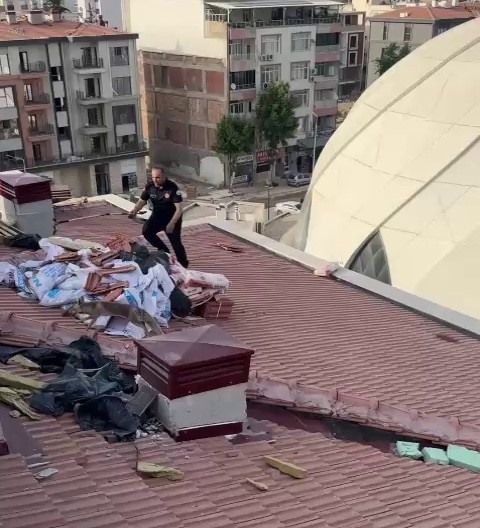 Çatıya Çıkan Tilki Ekipleri Harekete Geçirdi
