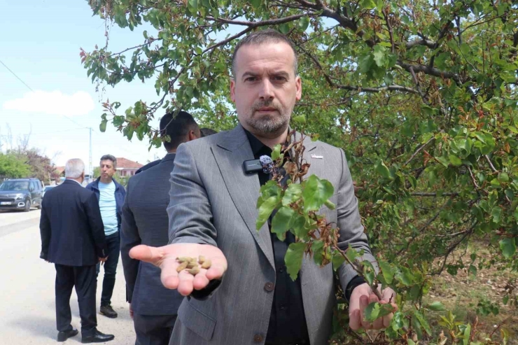 Karademir," "malatya Kayısısız Kalırsa Ekonomi Durur"