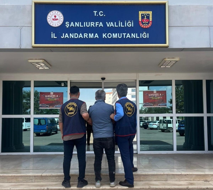 Şanlıurfa’da 48 Firari Hükümlü Yakalandı