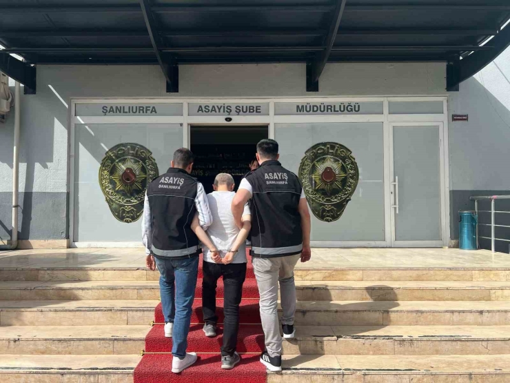 Şanlıurfa’da 48 Firari Hükümlü Yakalandı