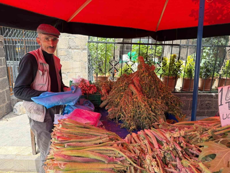 Bu Bitki Doğal Şifa Kaynağı