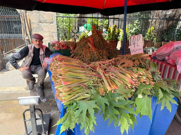 Bu Bitki Doğal Şifa Kaynağı
