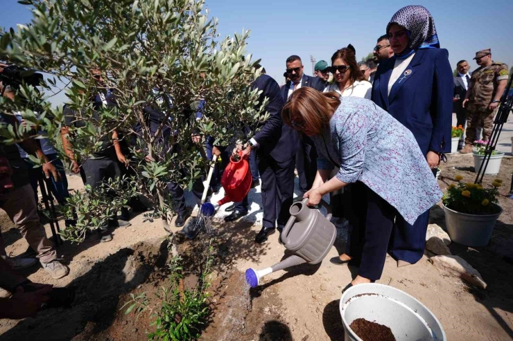 Gaziantep Büyükşehir, Bağdat’taki Türkiye Bahçesi’ne 5 Bin Fidan Hediye Etti