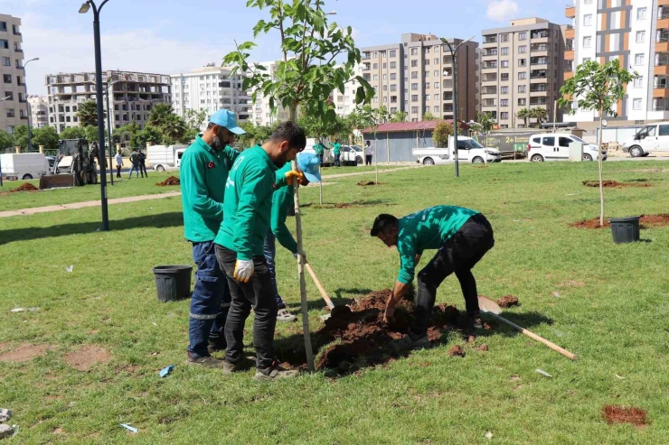 Yeşil Alan Çalışmalarıyla Yaşamın Kalitesi Arttırılıyor