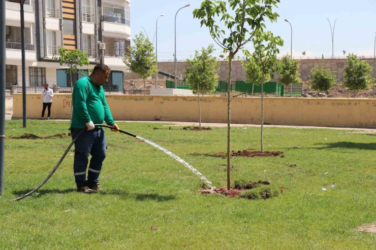 Yeşil Alan Çalışmalarıyla Yaşamın Kalitesi Arttırılıyor