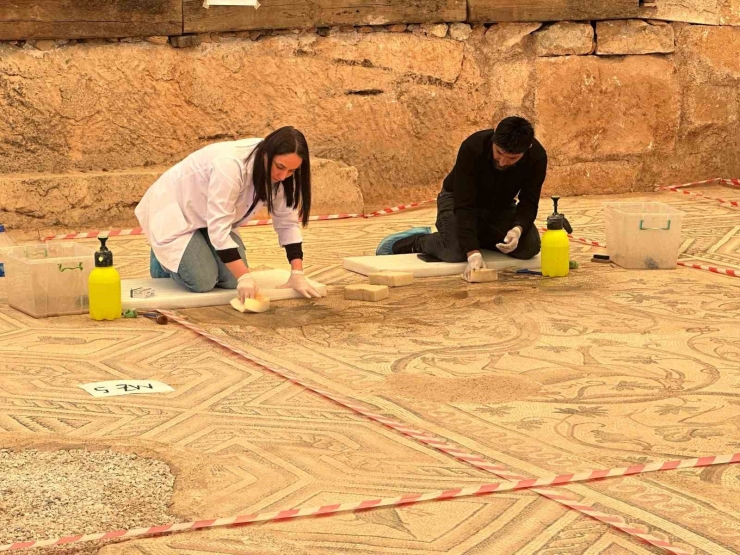 ‘cennet Bahçesi’ Mozaiğinde Restorasyon Ve Konservasyon Başladı