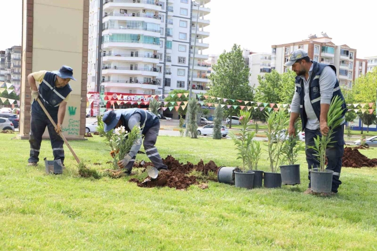Mahabad Bulvarında Peyzaj Çalışmaları Devam Ediyor
