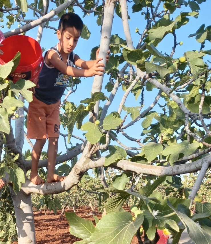 Gaziantep’te Otizmli Onurcan 10 Gündür Aranıyor