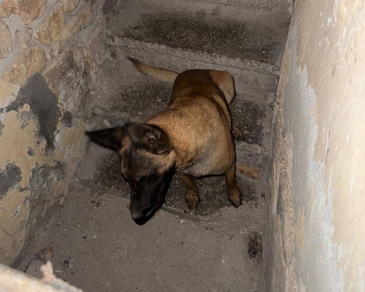 Sahipli Köpeğin Saldırısına Uğrayan Adam Yaralandı