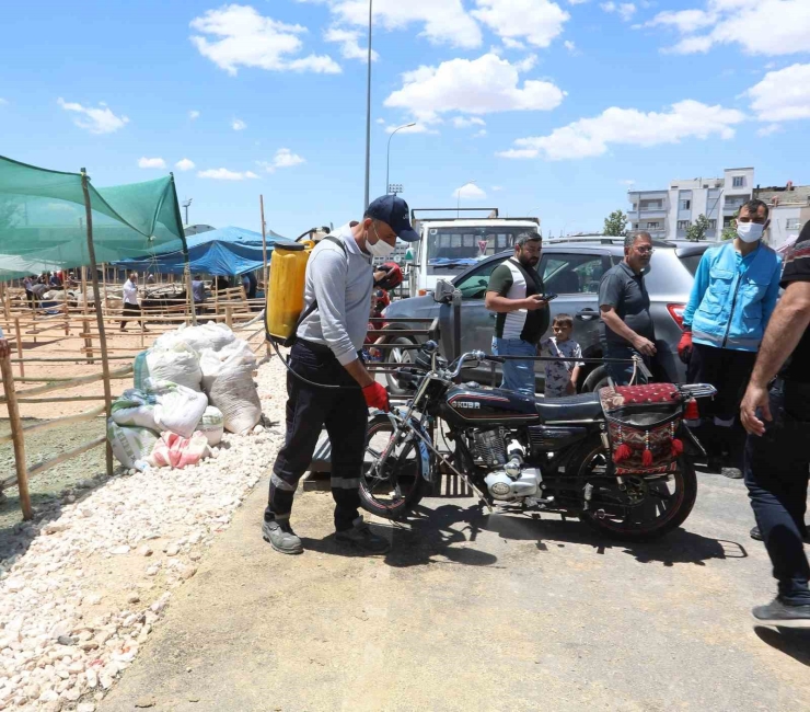 Büyükşehir’den Kurban Denetimi Ve Temizlik Seferberliği