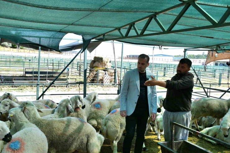 Karademir: "bayram, Dayanışmanın Gücüyle Malatya’da Yeniden Hissedilecek"