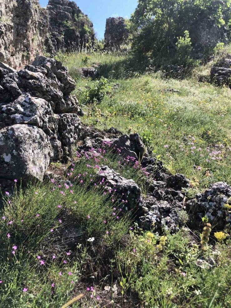 Arapgir Kırsalında Renk Cümbüşü