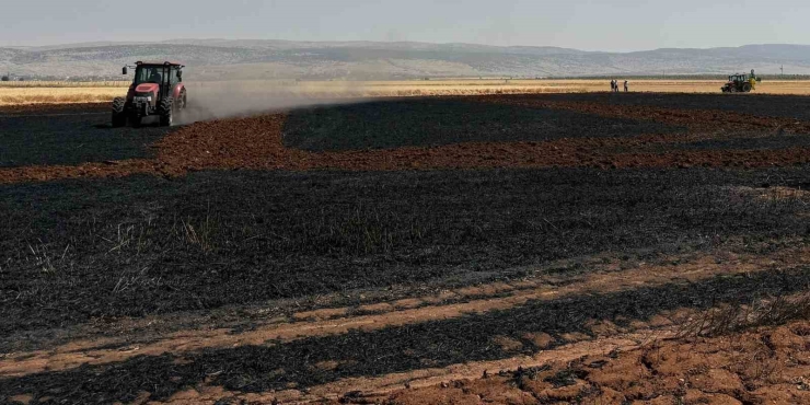 Araban Ovası’nda 15 Dönüm Buğday Ekili Alan Daha Yandı