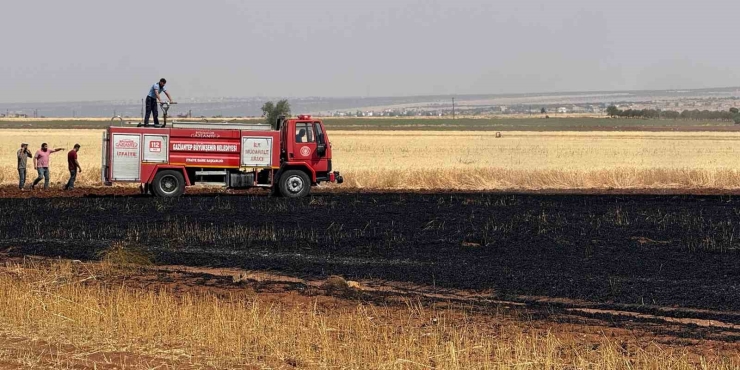 Araban Ovası’nda 15 Dönüm Buğday Ekili Alan Daha Yandı