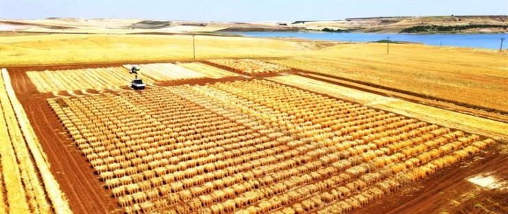 Adıyaman’da Tohumculuk Sektörü Güçleniyor