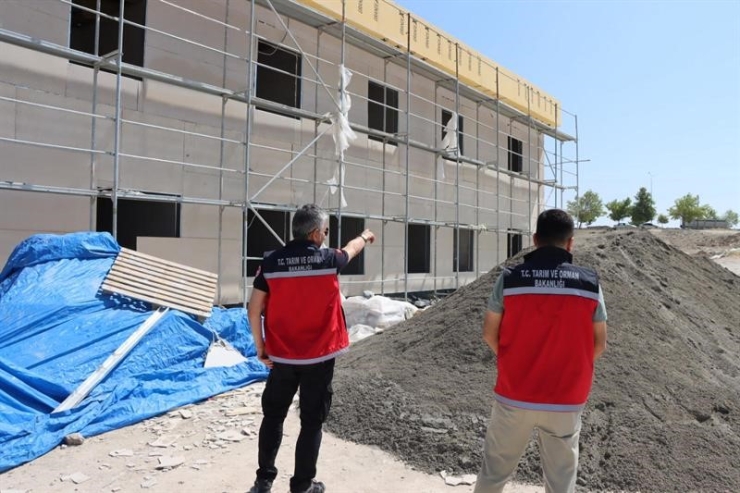 Müdür Akkan Çörek Otu Hasadına Katıldı