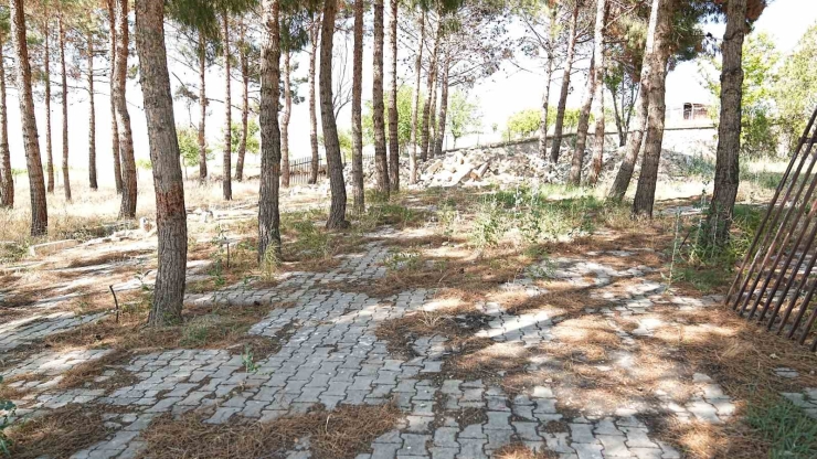Battalgazi Belediyesi’nden Yeşil Alan Atağı
