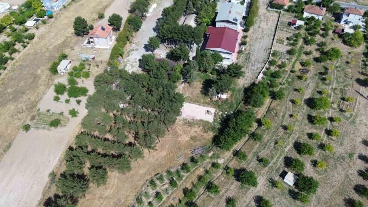 Battalgazi Belediyesi’nden Yeşil Alan Atağı