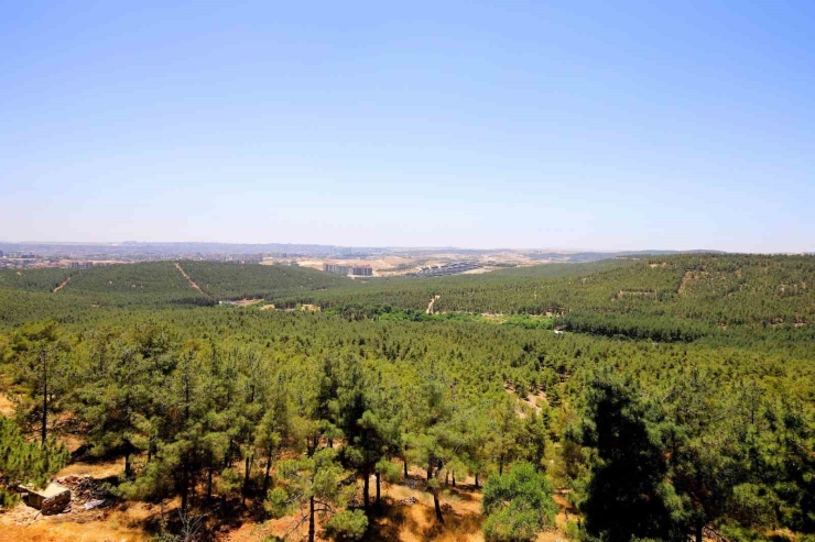Büyükşehir İtfaiyesi’nden Termal Drone İle Yangın Nöbeti
