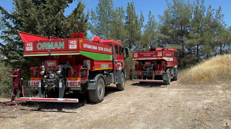 Çocukların Çakmakla Oyunu Ormanı Yaktı