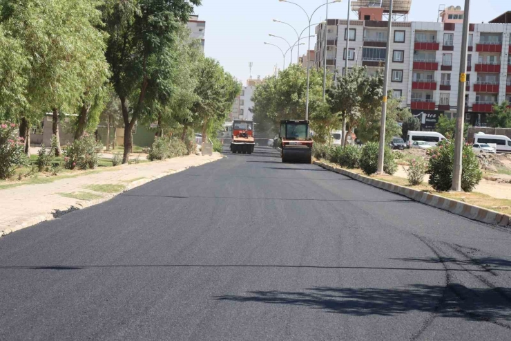 Şanlıurfa Büyükşehir Asfaltla Viranşehir’in Çehresini Değiştiriyor