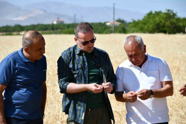 Maginder Başkanı Karademir: "çiftçimizin Alın Teri Kutsaldır"