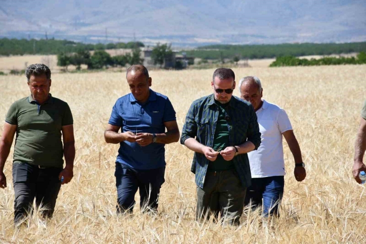 Maginder Başkanı Karademir: "çiftçimizin Alın Teri Kutsaldır"
