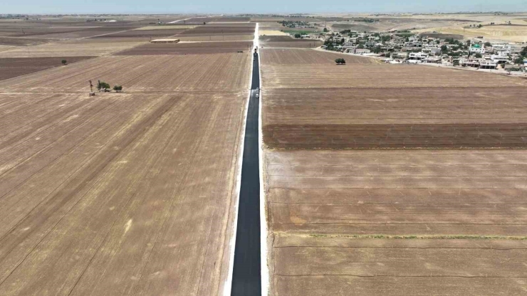 Suruç Ve Harran’ın Ardından Ceylanpınar Kırsalı Da Sıcak Asfaltla Buluşuyor