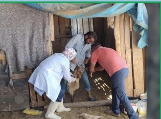 Adıyaman’da Zoonoz Hastalıklarla Mücadele Kararlılıkla Sürüyor
