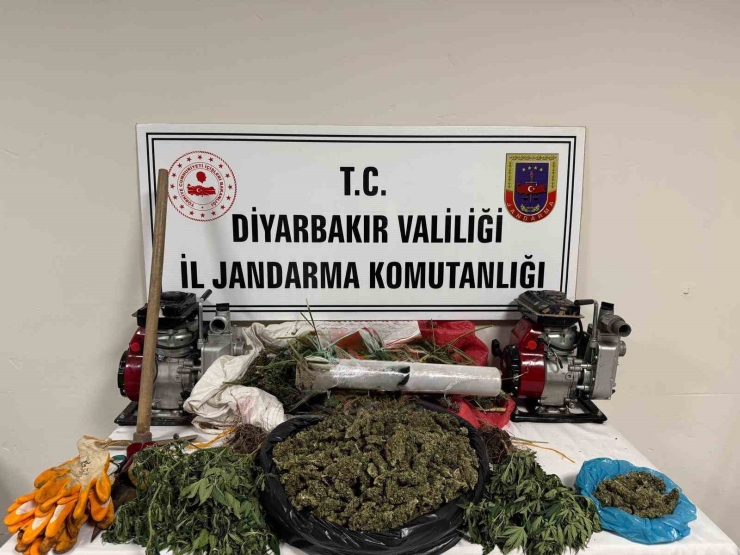 Diyarbakır’da Kenevir Tarlasını Damlama Sistemiyle Suladılar