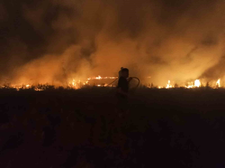Akçadağ’da Bahçe Ve Sazlık Yangını: 25 Kayısı Ağacı Zarar Gördü