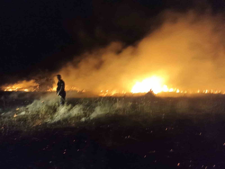 Akçadağ’da Bahçe Ve Sazlık Yangını: 25 Kayısı Ağacı Zarar Gördü