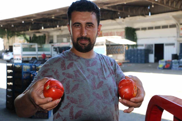 Diyarbakır’da Sıcak Hava Sebze Ve Meyveleri Etkiledi