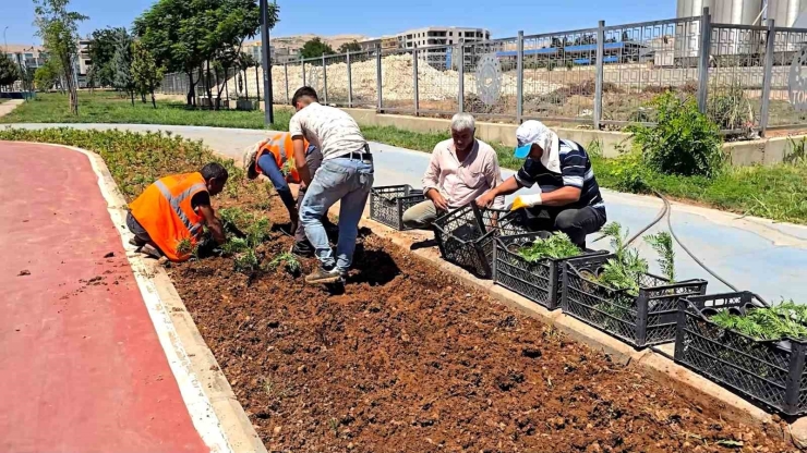 Eyyübiye’nin Çiçekleri Eyyübiye Serakent’ten