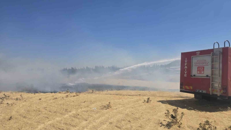 İslahiye’de 150 Dönüm Arazi Kül Oldu