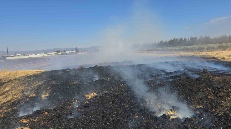 İslahiye’de 150 Dönüm Arazi Kül Oldu