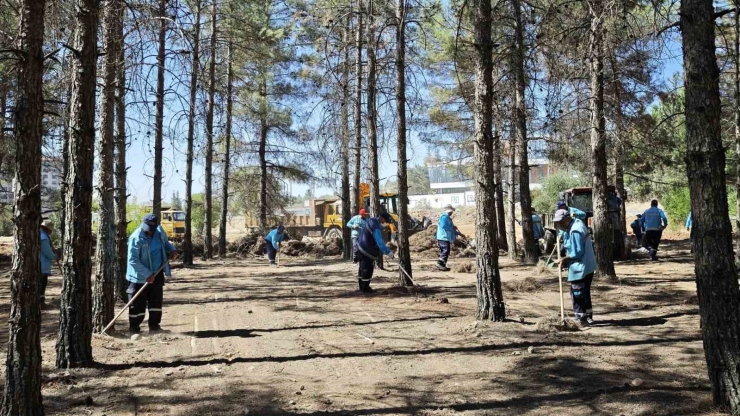 Gaziantep Büyükşehir, Orman Yangını Riskine Karşı Tedbirlerini Artırdı